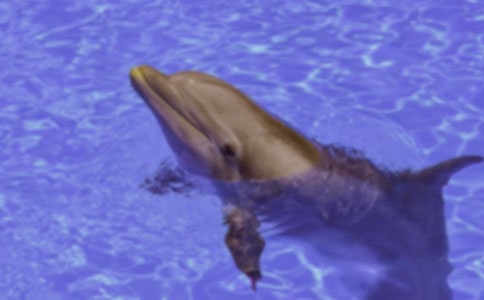 �����������������600�֣�ͨ��23ƪ��