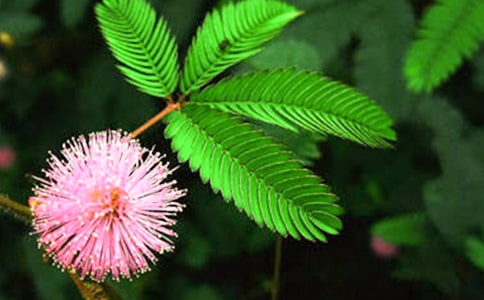 �P(gu��n)�ں��߲ݵ��Z��