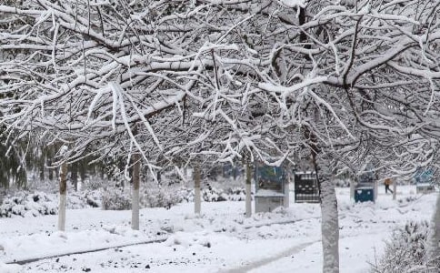 �������R�������İ�