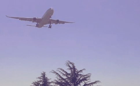 航班乘務員表揚信