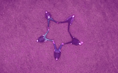 ���ɺ���Ψ������