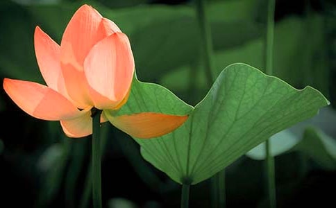 ��(y��u)���ٝ���ɻ��ľ���