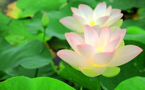 �ɻ��̌W��˼����