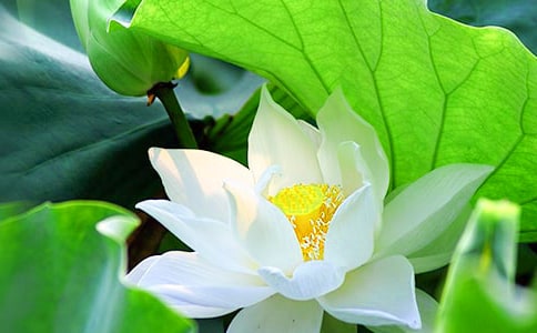 ���ݺɻ�Ԋ�~