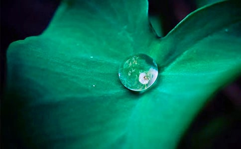 ���؂䡿���~�A�A�̰���ƪ