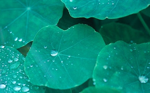 ���P(gu��n)�а��Z(y��)�Խ̰����~��