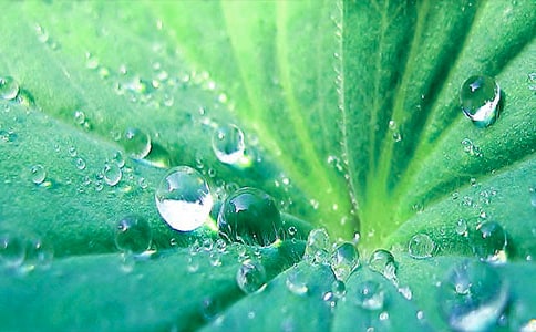 �����~��ĸ�H��Ԋ��ɢ��