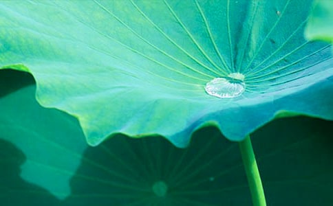 ������׃�ɴ��ĺ��~���̰��O(sh��)Ӌ(j��)����