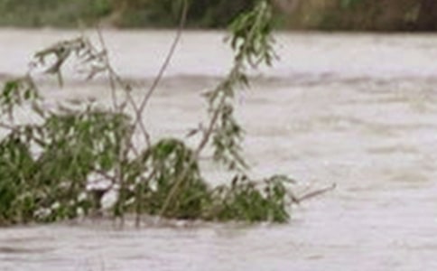 ��ˮ�Ĝ�^ͯԒ����