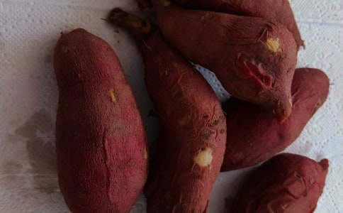 紅薯三年級作文300字4篇