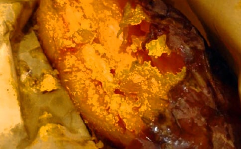 種紅薯觀察日記(精選22篇)