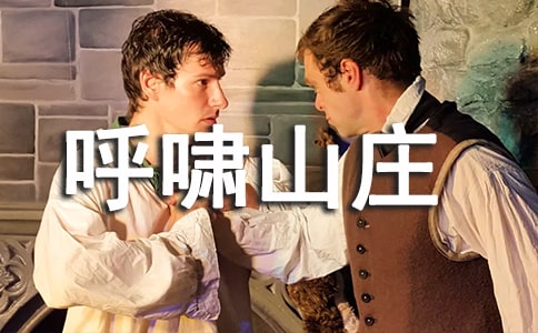 關(guān)于《呼嘯山莊》讀后感