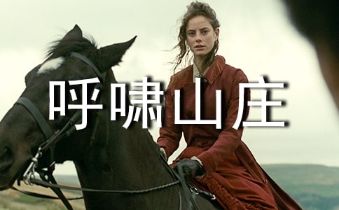 《呼嘯山莊》讀后感(精選17篇)