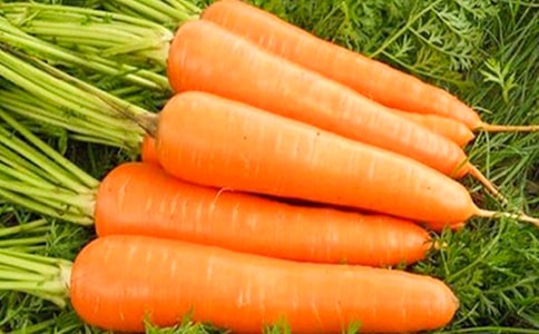 ���}�������ĺ��ӽ̌W(xu��)�O(sh��)Ӌ(j��)��ͨ��6ƪ��