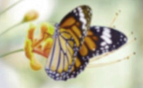 �P(gu��n)�ں�����Ψ�����ӣ�ͨ��200�䣩