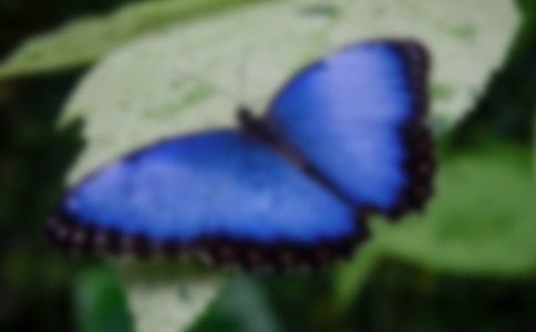 �茑�������O�����ľ���150��