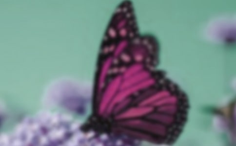 ���������ļ��\[3ƪ]