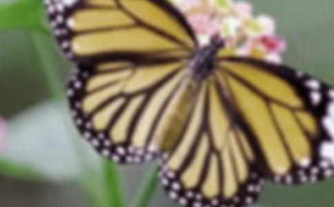 ���������δ�݌m�䷭�g�p��2ƪ