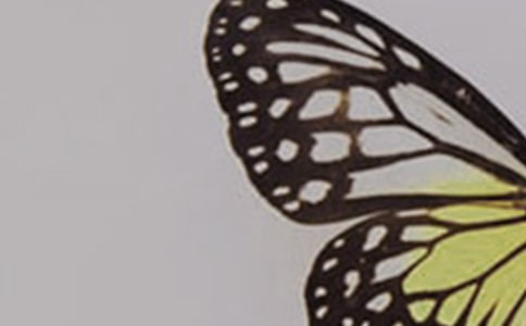 �o�����������y�̰�