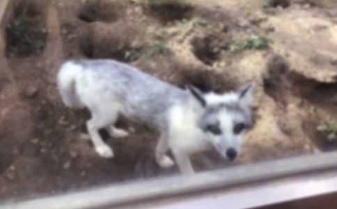 ��؂ҧ�u����������Ԣ�Թ���