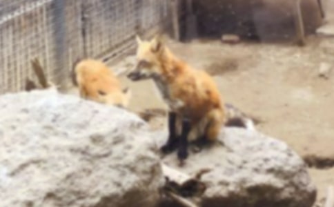 ���P(gu��n)���˲���ĺ�؂�ְ֡��x��У����x5ƪ��