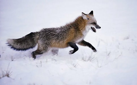 ����؂�͞��f�� �̰�