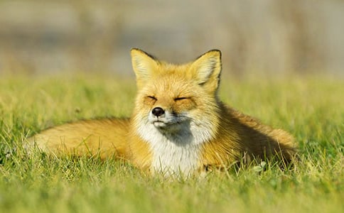 ����؂��Ҋ���f�������(chu��ng)�����½̰�