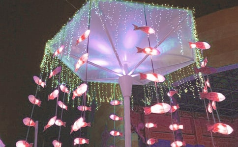 正月十五看花燈作文550字