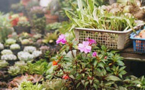 �W(w��ng)�ϻ����̘I(y��)Ӌ(j��)���������x6ƪ��