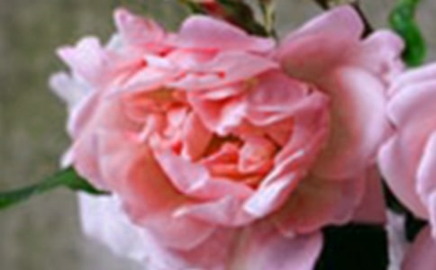 �_��ӛ����Ļ�������6ƪ