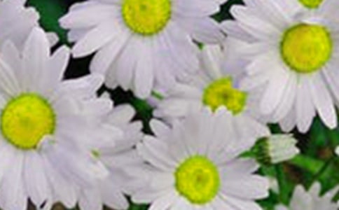 2021�꺆�̵Ļ��䃞(y��u)������ժ�70��