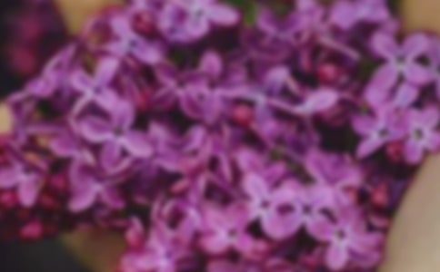 С�������ӽ̰�������ÿ��Ҳ�ժ