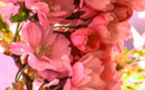 �_�����еĻ������꼉����