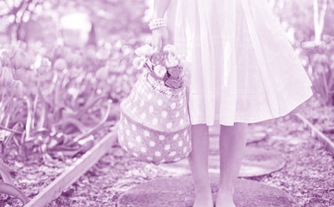 驕傲的玫瑰花童話作文(匯編15篇)