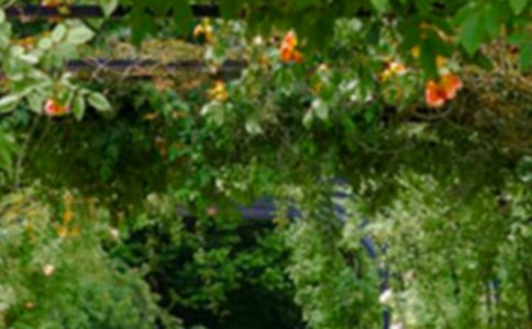 游宣城大眾百花園四年級(jí)作文