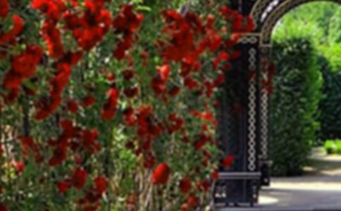 �����»��@���x���