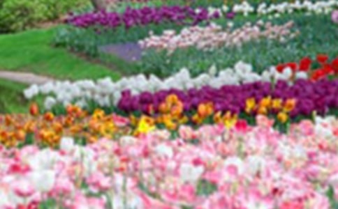 �������������@��(d��o)���~