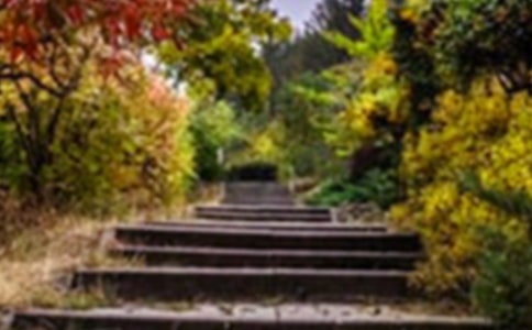 巨人的花園評課稿(通用7篇)