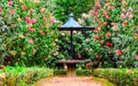 ���������@��(d��o)���~��B