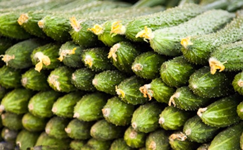 我學(xué)會了拍黃瓜作文