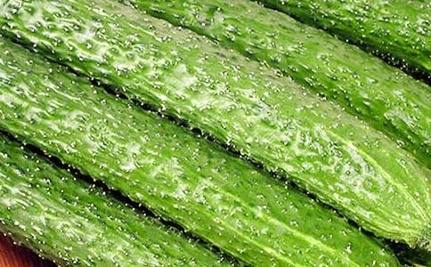 ���������S���^����С�W(xu��)�x���