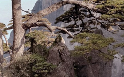 ���Sɽ��ʯ���ڶ��n�r�̰��OӋ���ģ����x11ƪ��