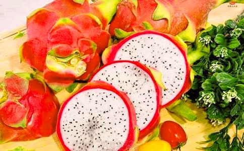 我愛吃的火龍果二年級作文