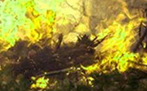 �O�����ɭ�ֻ��(z��i)�đ�(y��ng)���A(y��)�����ģ����x8ƪ��