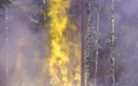 ��������ķ��ع��������ģ�ͨ��5ƪ��