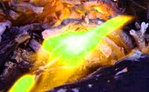 火災(zāi)安全教案(15篇)