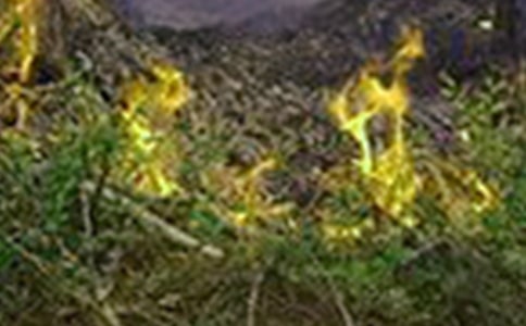 �h(yu��n)�x���(z��i)���h������500�֣����x14ƪ��