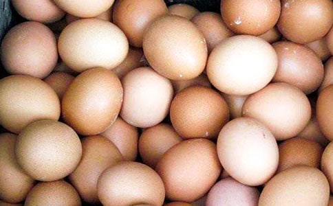 小班科學(xué)教案陽(yáng)臺(tái)上的雞蛋皮活動(dòng)設(shè)計(jì)