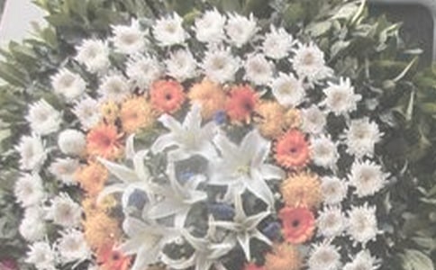 祭奠先烈有感作文700字