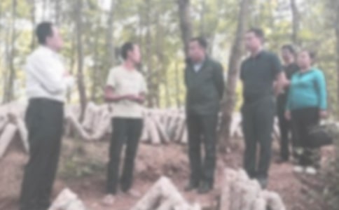 �o�z����ȹ���Ӌ���ϼ�7ƪ